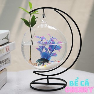 Bể cá Betta mini để bàn, hồ nuôi cá chọi cung trăng 17 ( tặng kèm phụ kiện trang trí )