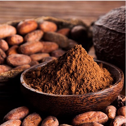 Bột Cacao Nguyên Chất 100%