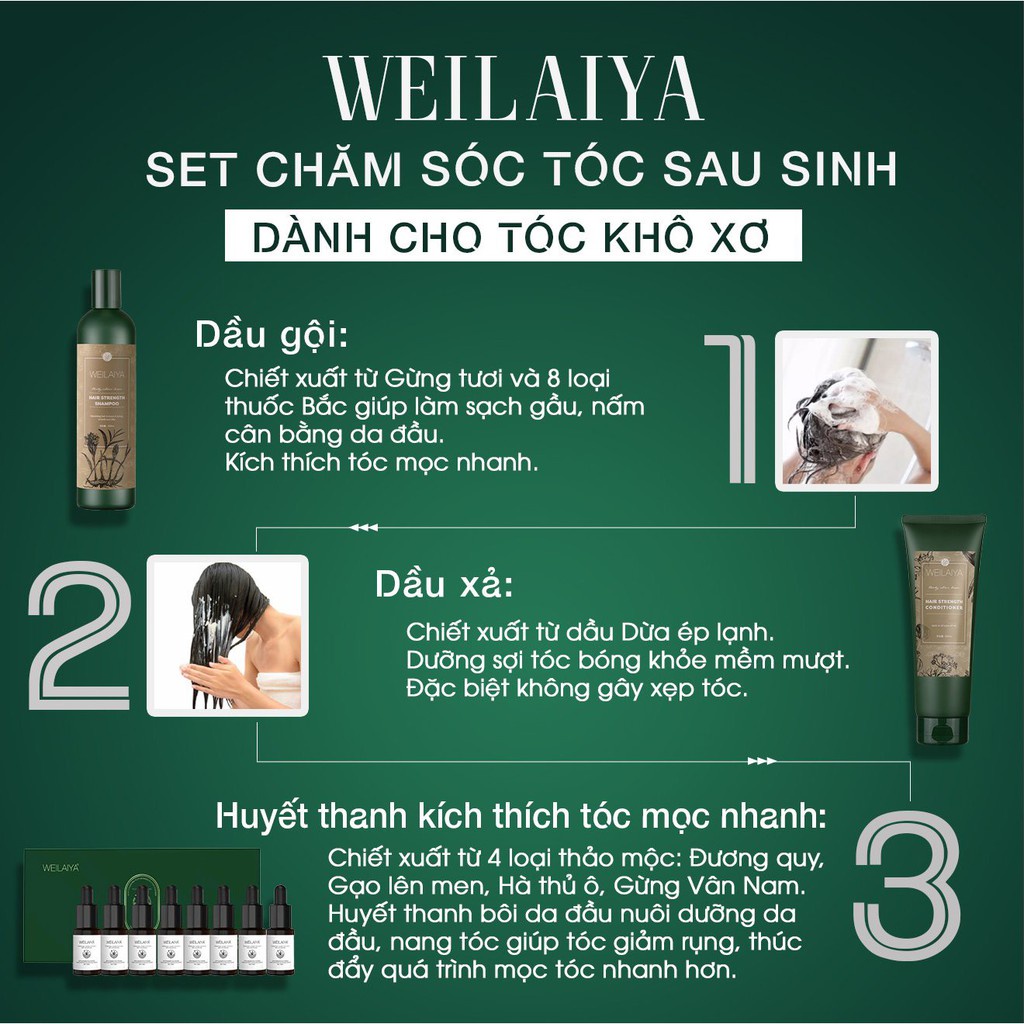 Cặp Dầu Gội và Dầu xả Gừng Hà Thủ Ô Kích Thích Mọc Tóc, Weilaiya Zingiber Officinale Juice - Gazumi Beauty