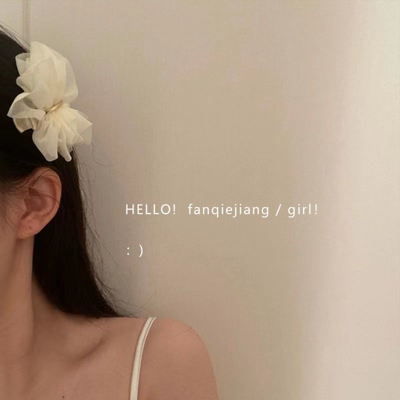 1 Kẹp Tóc Vải Voan Lưới Đính Hoa Xinh Xắn Cho Nữ