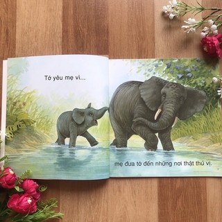 Sách - Vì sao tớ yêu ( bộ 4 cuốn)