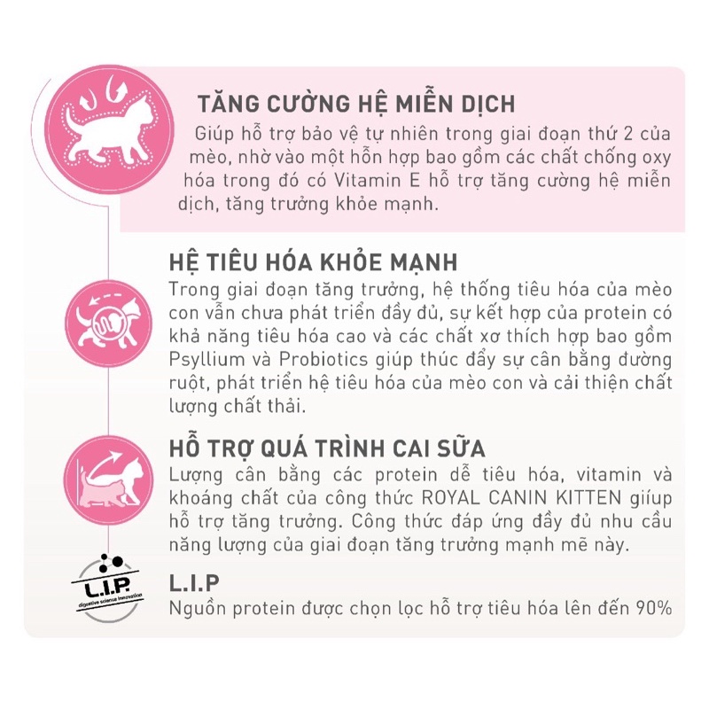 ROYAL CANIN Kitten Cho Mèo Con Túi 1kg