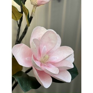MỘC LAN ĐẠI 2 Nụ 2 Bông