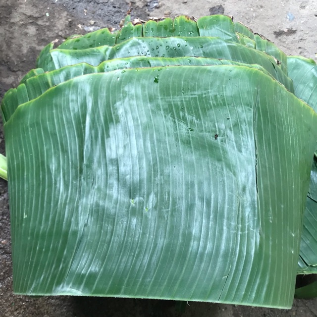 1kg lá chuối khô sạch cây nhà trồng - hàng nhà làm thủ công