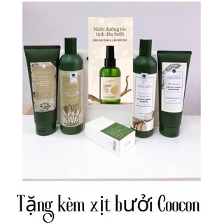 Combo gội xả bộ dầu gội weilaya xả gừng, hà thủ ô chính hãng hỗ trợ mọc tóc ngă n rụ ng tóc
