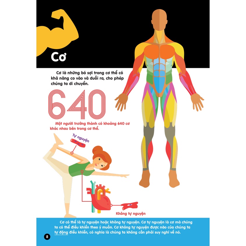 Sách - Infographics - Bách Khoa Tri Thức Bằng Đồ Họa Cho Trẻ Em - Cơ Thể Người - DTI