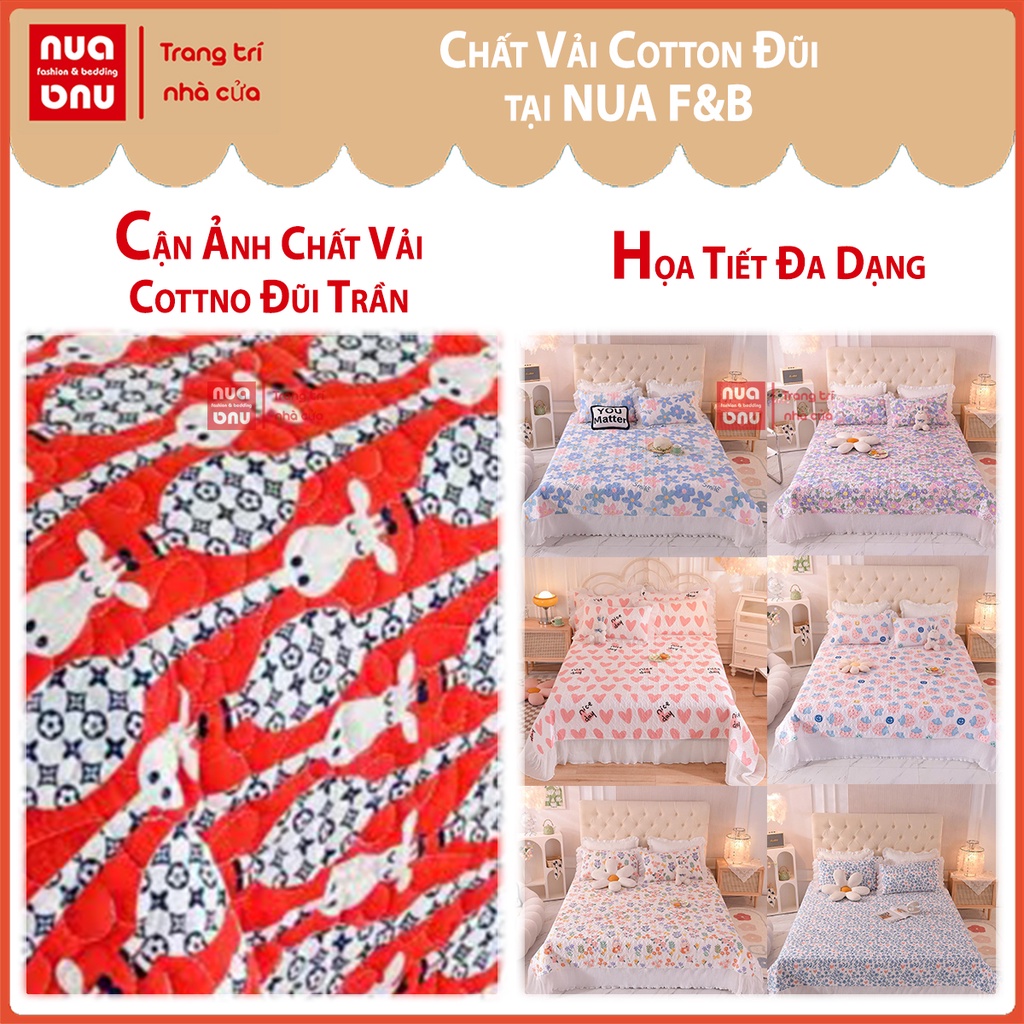 Ga giường cotton đũi và 2 vỏ gối trần bông diềm bèo ngắn bộ ga giường phủ hoặc bo chun không diềm bèo
