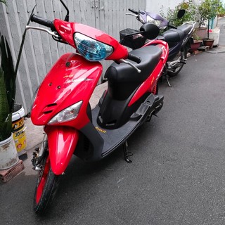 Dàn áo mio bộ đồ màu + nhám