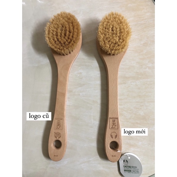 Cọ chải khô/ Cọ tắm tẩy da chết The body shop Cactus Long Brush