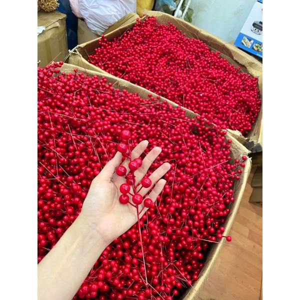 100 nhánh đào đông 12 quả cành thép dài 20cm