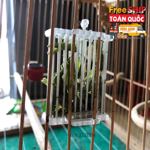 Rọ dế cho chim chào mào,rọ dế chim khuyên cáp quang Pkchim phụ kiện chim cảnh