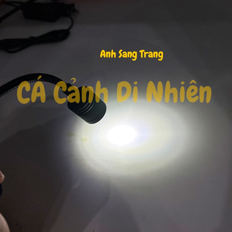 Đèn led rọi Mini 1W kẹp thành hồ cá thủy sinh BIOTOP KK-F05 cho bể 20-30 cm