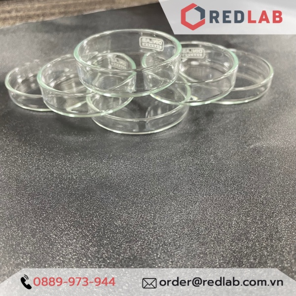 Đĩa Petri thủy tinh kích cỡ 60x15mm Dinlab Germany | Hàng chính hãng, giá tốt