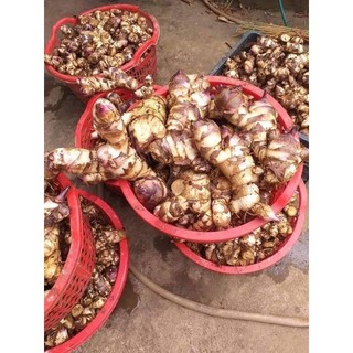 Miến dong rối Sơn La