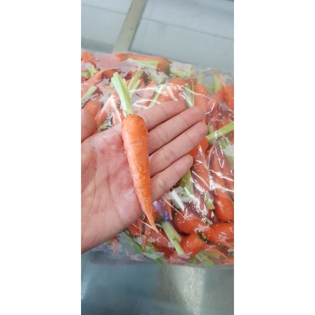 Cà rốt baby