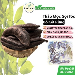Bồ kết rừng lá đỏ gội mượt tóc