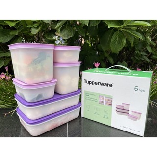 Bộ trữ đông siêu dẻo Tupperware hàng chính hãng bảo hành trọn đời