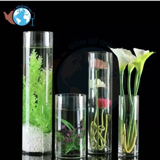 Óng thủy tinh 10x40 hàng Việt Nam , lọ thủy tinh căm hoa dạng óng trụ dày cao 40cm và đường kính 10cm