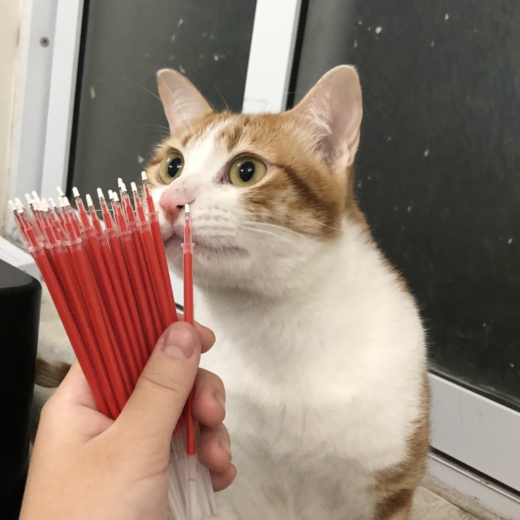 Combo 20 Bút Gel 0.5mm Mực Nhanh Khô Nét Đều - Journalholic