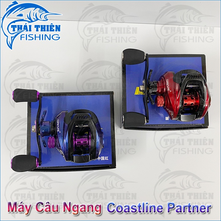 Máy Câu Ngang Coastline Partner 8.0:1 Tay Quay Trái Dùng Lure Cá Lóc, Chẽm, Mú