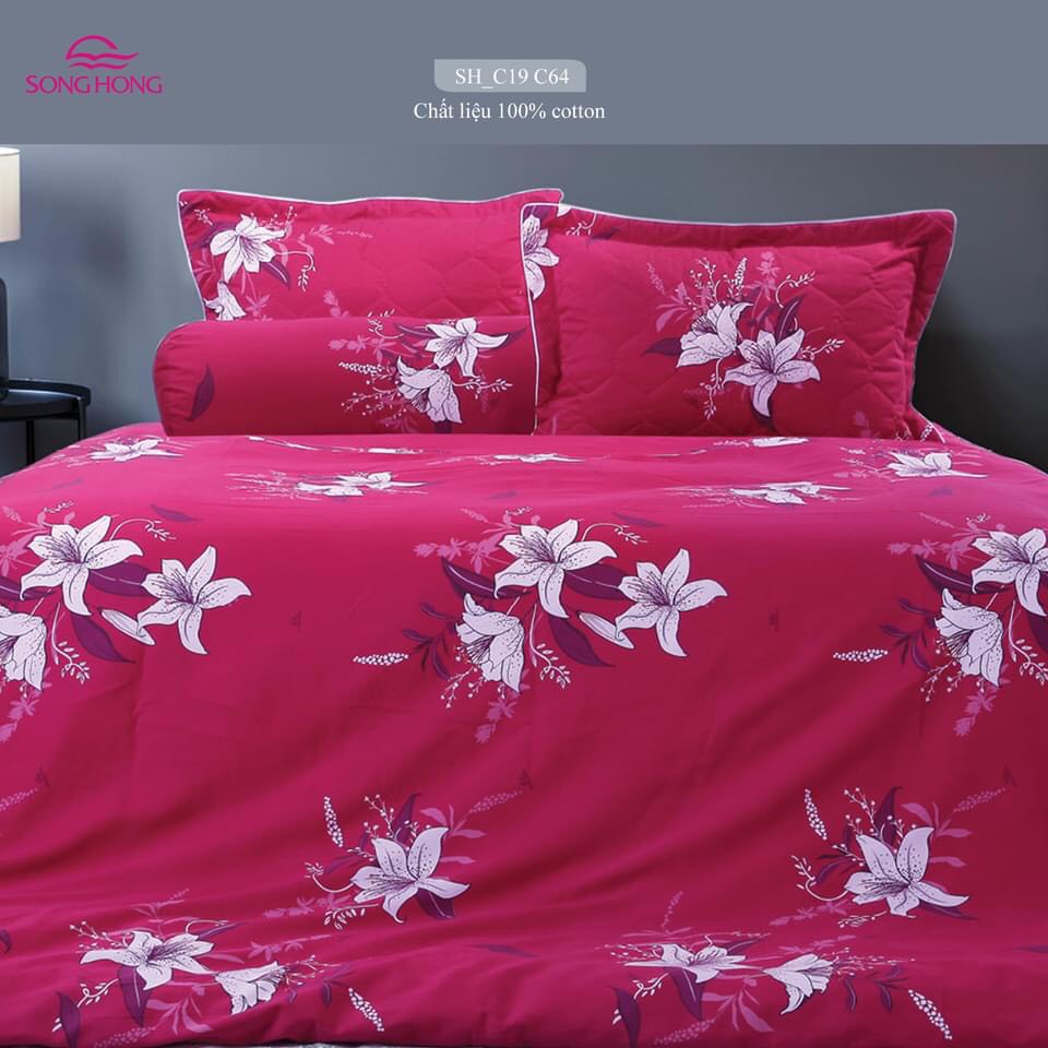 Chăn xuân thu 200x220 Sông Hồng - Chất cotton