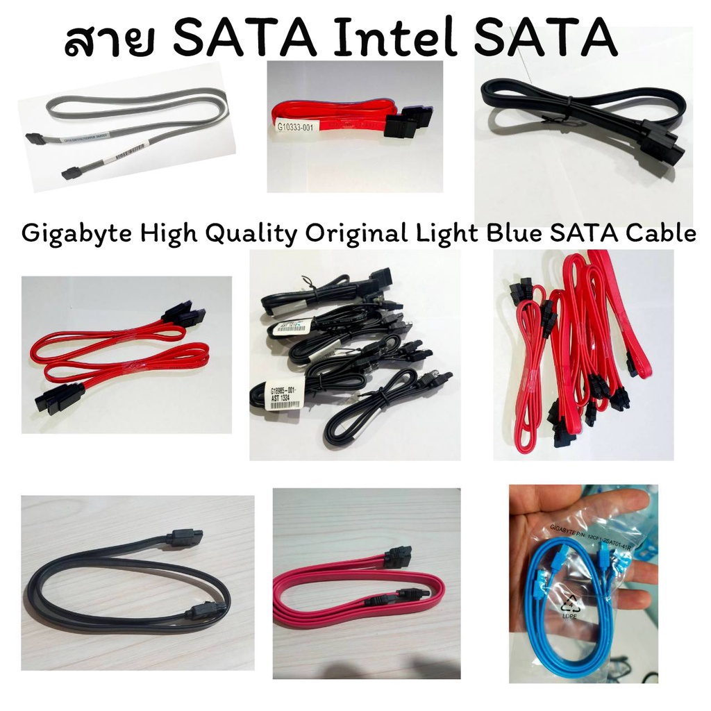 Cáp SATA Đĩa cứng Intel Bizlink AsLink III-6Gbps (Đã qua sử dụng)