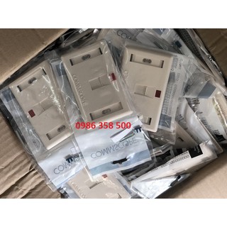 Mặt mạng 1 cổng hãng Commscope/ AMP hình chữ nhật