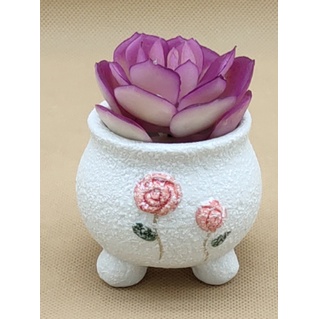 Chậu cây mini hoa nổi CHAU33 trồng hoa sen đá cây cảnh cute trang trí decor ống bút cắm đồ 4.5-5,8cm