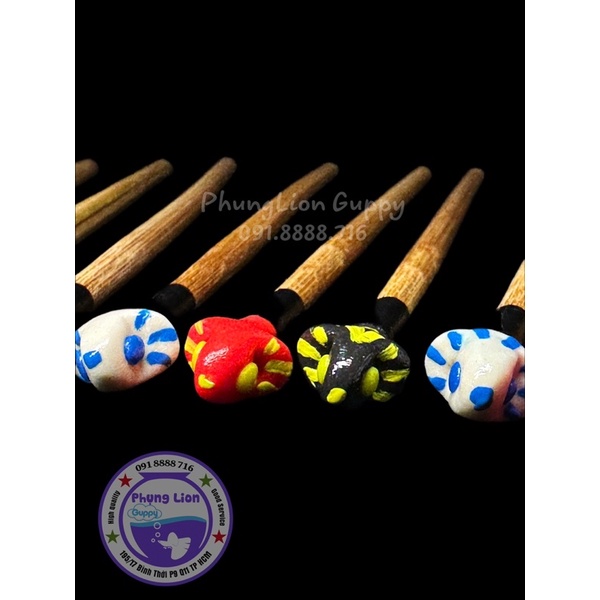 Cây Kè Cá Betta - Giúp Cá Sung