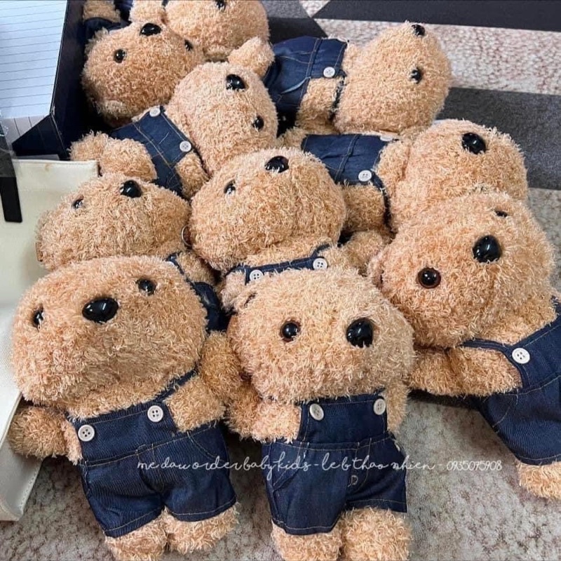 TÚI GẤU KOREA XỊN XÒ