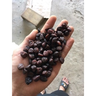 1kg HẠT DỔI