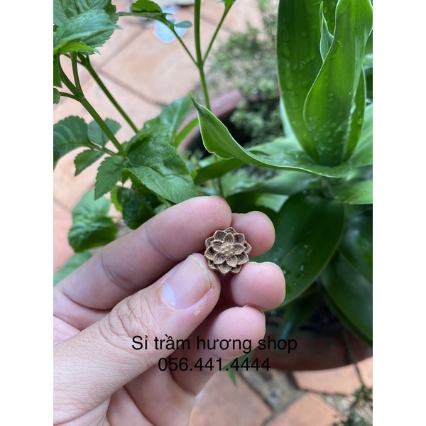 Charm hoa sen trầm hương tốc