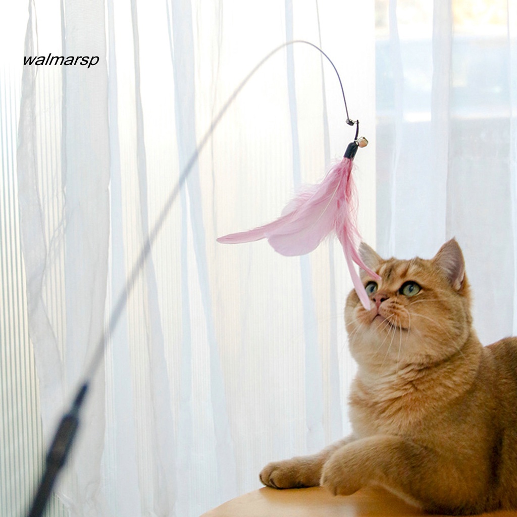 Gậy Lông Vũ Dài 92cm Linh Hoạt Chống Cắn Cho Mèo Cưng