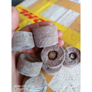 Viên nén xơ dừa ươm hạt giống, trồng cây