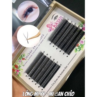MI FAN NHẬT - YY & W & 4D JAPAN 0.07 0.05
