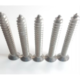 Vít đầu bằng inox (100g)