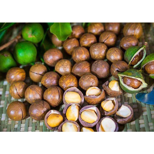 Hạt Macca - 450 Gram