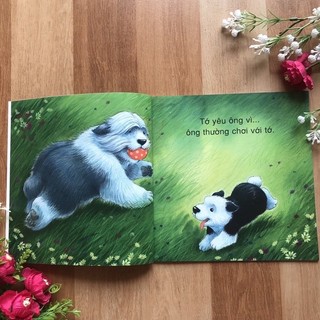 Sách - Vì sao tớ yêu ( bộ 4 cuốn)