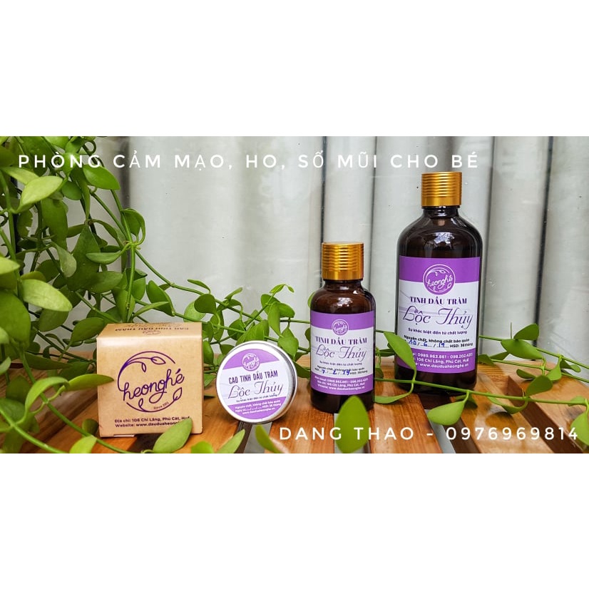TINH DẦU TRÀM LỘC THỦY - HEO NGHÉ