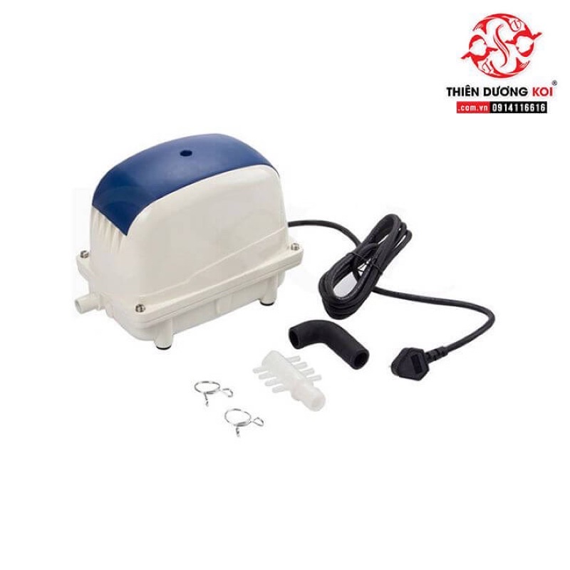 MÁY OXY HỒ CÁ JECOD