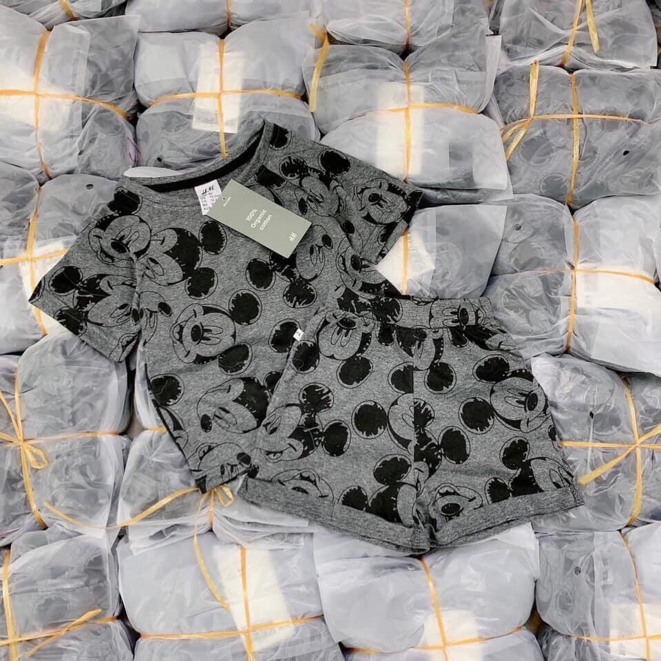 Set quần áo thun chuột mickey và nón cùng màu cho bé trai từ 10-23kg. BT11 Nội dung 1