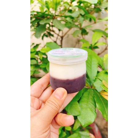 SỮA CHUA NẾP CẨM  / PHÔ MAI