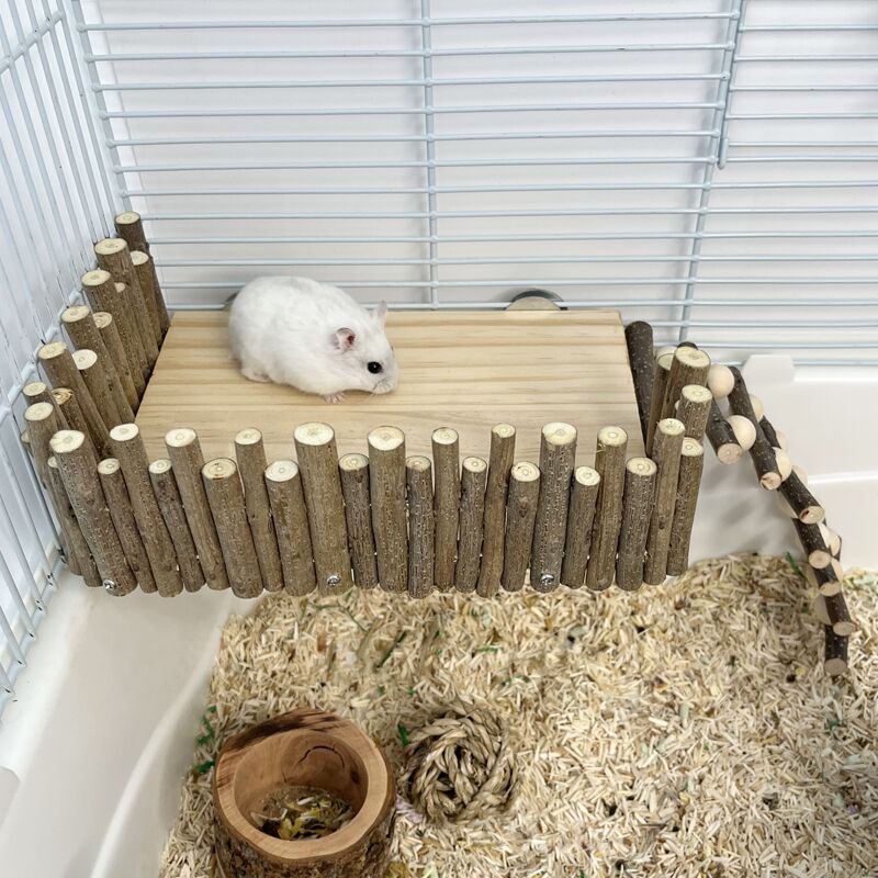 Wyoming060 Nền tảng leo núi Hamster Đồ chơi nhai bằng gỗ Sân hoạt động cho thú cưng nhỏ có hàng rào tàu lượn đường phố Gấu vàng
