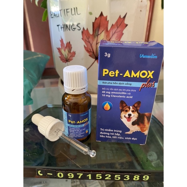 Pet Amox - chuyên dùng cho chó mèo