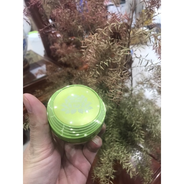 Kem đêm xanh thảo mộc nhụy tây natural white mới