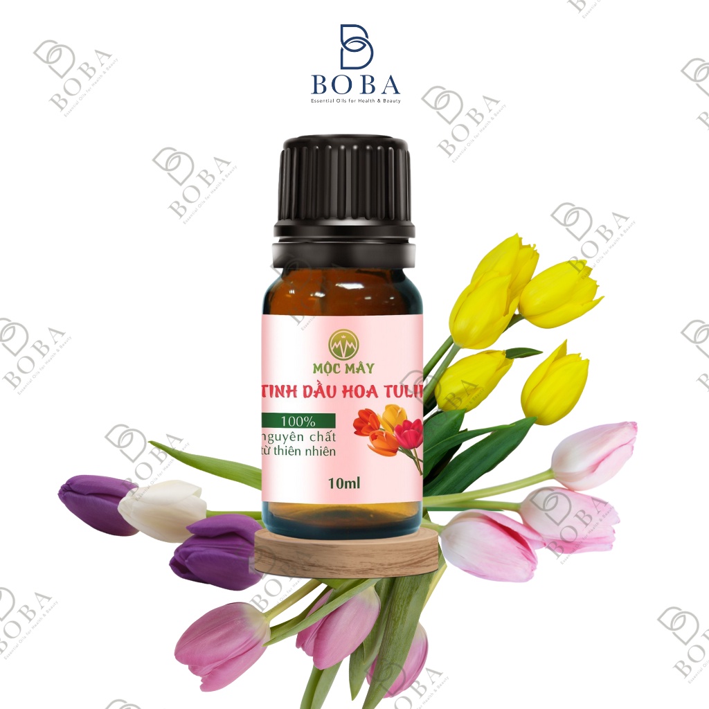 Tinh Dầu Hoa Tulip Khuếch Tán Hương Thơm, Kiểm Soát Mùi, Giảm Stress. TD Tulip 10ml - bobashop.vn
