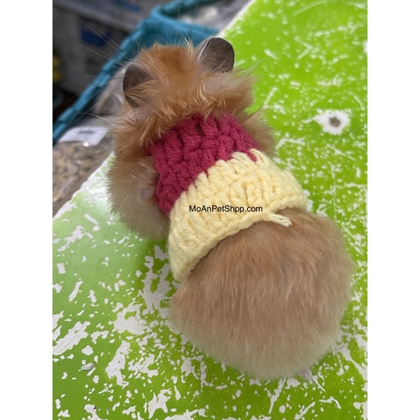 Quần Áo Siêu Cute cho Hamster | Thú Nhỏ