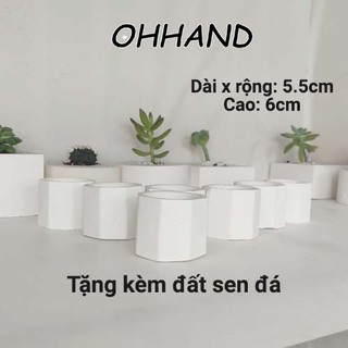 Chậu trồng cây mini sen đá, cây cảnh