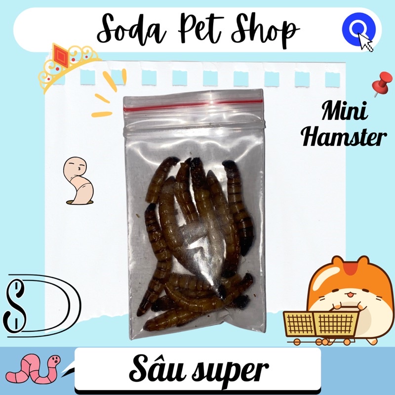 Sâu Rang Super Cho Hamster/Thú Nhỏ
