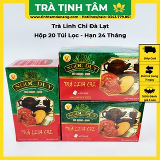 Trà túi lọc linh chi Ngọc Duy Đà Lạt thanh nhiệt giải độc, hộp 20 túi lọc đặc sản làm quà